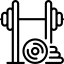 ძალოსნობა