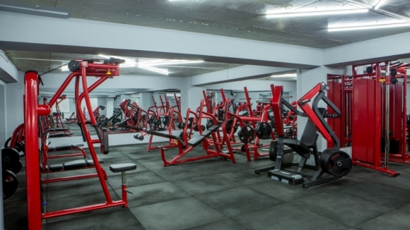 DL fitness • დიელ ფიტნესი