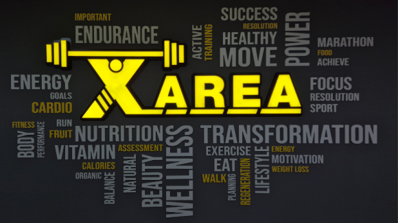 X AREA